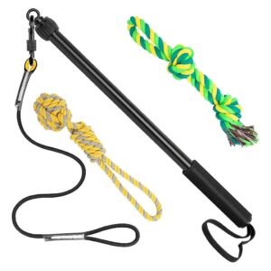 2" Long Retractable Dog Teaser Wand for Outdoor Puppy Training