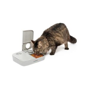 2 Meal Pet Feeder for Cats with Dual Timers and Tamper-Resistant Lids