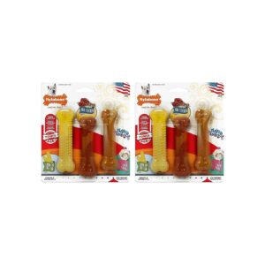 2 Pack BBQ Chicken Corn and Ice Cream Flavor Frenzy Nylabone