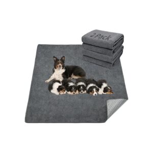 2-Pack Extra Large Reusable Dog Floor Mats for Fast Absorbency and Convenience