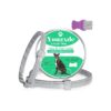 2-Pack Flea and Tick Collar for Large Dogs with Flea Comb