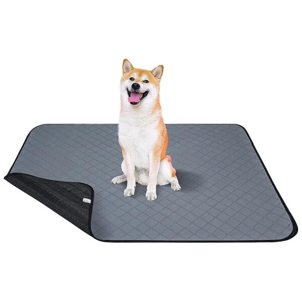 2 Pack Puppy Training Pads with Unique 4-Layer Construction and Silicone Bottom