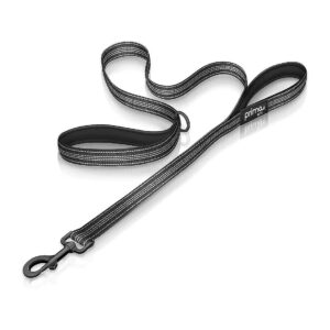 2 Padded Handles Reflective Nylon Leash for Dog Walking Safety