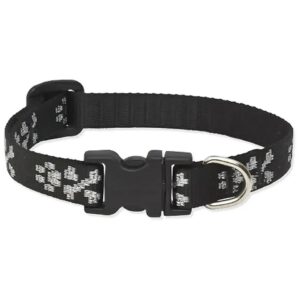 2" Wide Adjustable Dog Collar for Small Dogs in Lil Bling Bonz Pattern