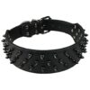 2 Wide Black Leather Studded Dog Collar with 31 Spikes 52 Studdeds for Bulldogs