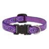 2" Wide Jelly Roll Collar for Extra Small Dogs