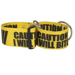 2 Width Martingale Dog Collar Caution I Will Bite Small Medium Large Size