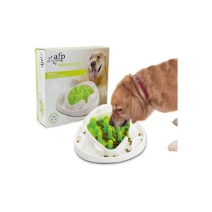 2 in 1 Dog Slow Feeder Bowls with Interchangeable Mazes for Cognitive Development