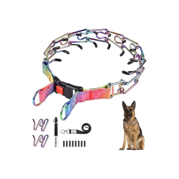 2-in-1 Dog Training Collar with Prong and Martingale Chain for Strong Dogs