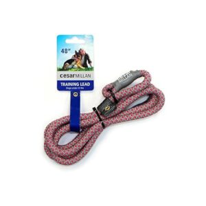 2 in 1 Slip Collar Dog Training Lead with Adjustable Loop and Metal Lock Tab