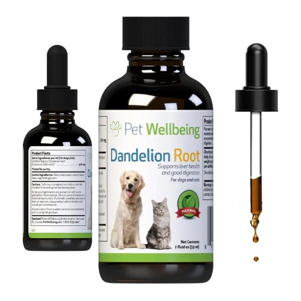 2 oz Dandelion Root Liquid for Supporting Healthy Liver Enzymes and Digestion in Dogs