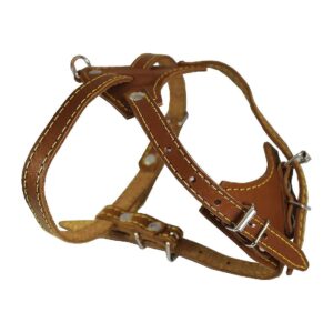 20 Chest Size Leather Dog Harness with Thick Contrast Thread