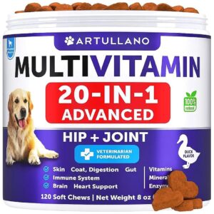 20-IN-1 Dog Multivitamin Chewables for Immunity, Mobility, and Skin Health