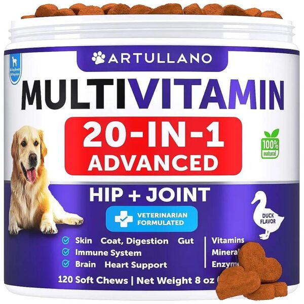 20-IN-1 Dog Multivitamin Chewables for Immunity, Mobility, and Skin Health