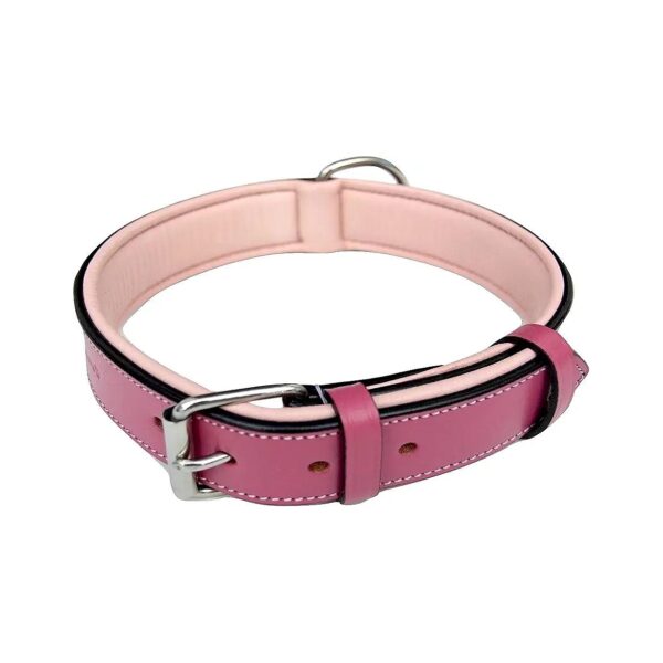 20" Long by 1" Wide Leather Dog Collar for Medium-Size Dogs with Raspberry Pink Finish