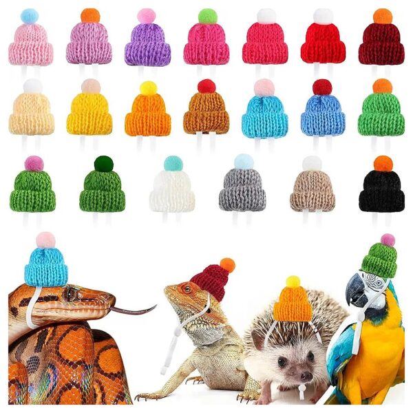 20-Pack Pet Snake Hats with Elastic Chin Strap for Lizards, Guinea Pigs and More