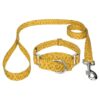 21 Inch Martingale Dog Collar and Leash