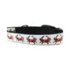 22 Inch Adjustable Nylon Dog Collar with Maryland Crab Pattern Buckle