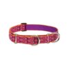 22 inch Martingale Collar for Medium and Larger Dogs with Limited-Slip Action