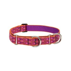 22 inch Martingale Collar for Medium and Larger Dogs with Limited-Slip Action