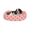 24 Inch Long Small Dog Bed for 5-25lbs Breeds with Coral Links Sherpa Material