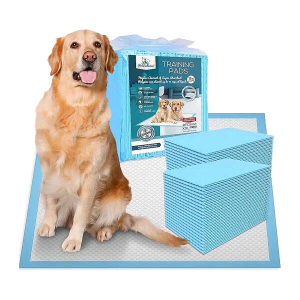 28'' x 34'' Large Puppy Pads with 6-Layer Protection and Odor Control