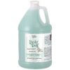 2x Wash-Lasting Shampoo for Itchy Skin, 1-Gallon, Pet Skin Care