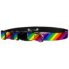 3/4 Inch Wide Medium Rainbow Stripe Adjustable Dog Collar