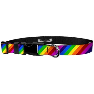 3/4 Inch Wide Medium Rainbow Stripe Adjustable Dog Collar