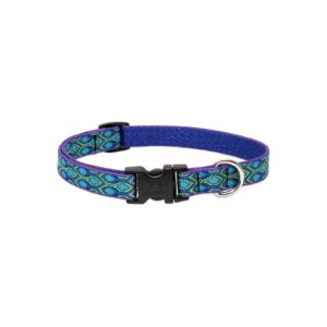 3/4'' Wide Multi-Color Nylon Dog Collar with Adjustable Sizes from 9 to 14 inches