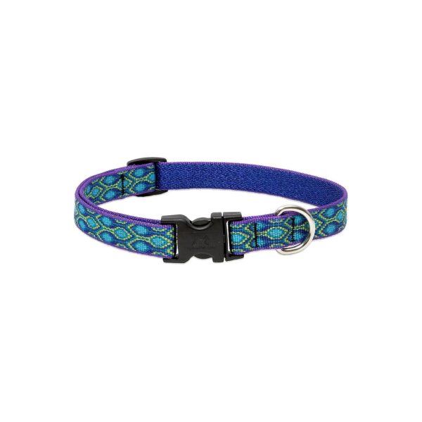 3/4'' Wide Multi-Color Nylon Dog Collar with Adjustable Sizes from 9 to 14 inches