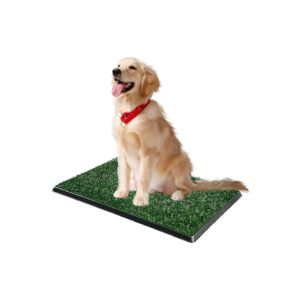 3-Layer Dog Grass Pad with Tray for Reusable Indoor and Outdoor Litter Box