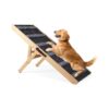 3 '' Long Dog Ramp for Large Small Dogs Cats to Get on Bed Couch