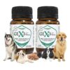 3 and Green Lipped Mussel Oil for Dog Mobility and Health