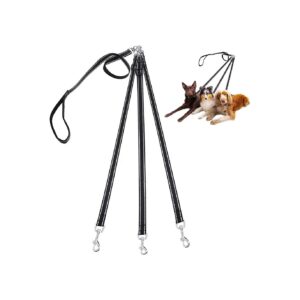 3 in 1 Detachable Coupler Leash for Walking Multiple Small to Medium-Sized Dogs Together