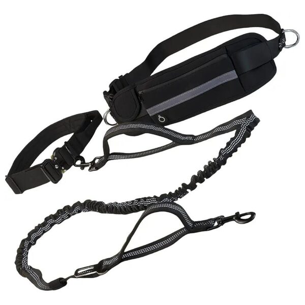 3 in 1 Dog Walking Leash Set with Waist Bag and Collar and Leash