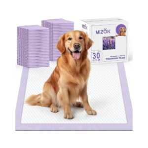 30-Count Dog Puppy Pads for Small to Medium-Sized Dogs with 6-Layer Structure