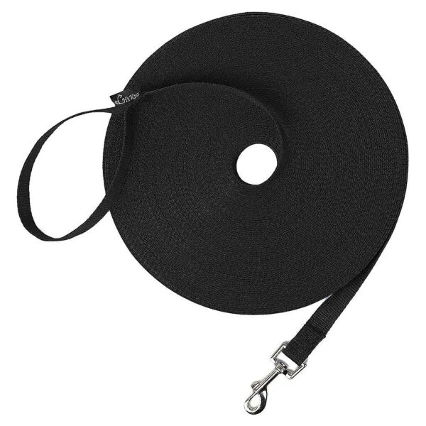 30 Foot Training Leash for Recall and Obedience Skills