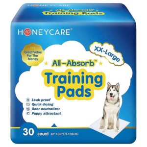 30-Inch x 36-Inch Ultra Absorbent Training Pads for Pet Owners