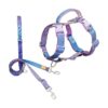 33 Rainbow Martingale Harness and Leash for Walking Control