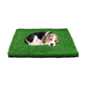 36X36 Inches Artificial Grass Training Mat for Dogs and Puppies with Comfortable Surface