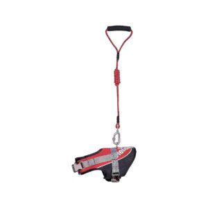 3M Reflective Textile Leash and Harness for Medium Size Dog in Red