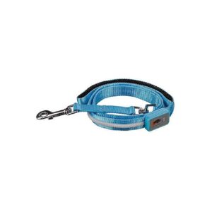 4 Foot Light Blue LED Dog Leash with 1,000 Feet of Visibility