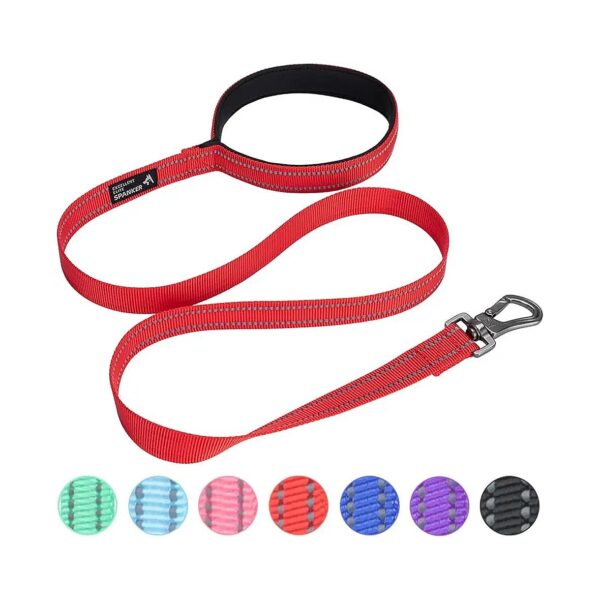 4 Foot Long Dog Training Leash with Soft Padded Handle and Reflective Stitching