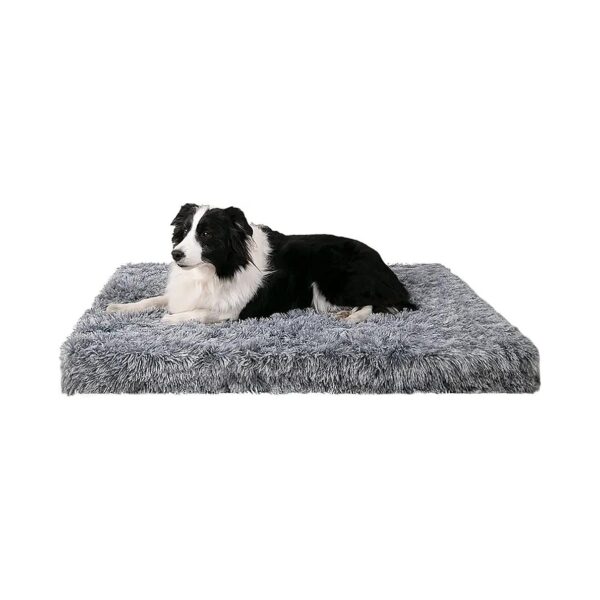 4 Inch Memory Foam Dog Bed with Egg Crate Foam for Large Pets - 42x29