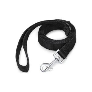 4 Inch Wide Dog Leashes for Small and Medium Dog Walking