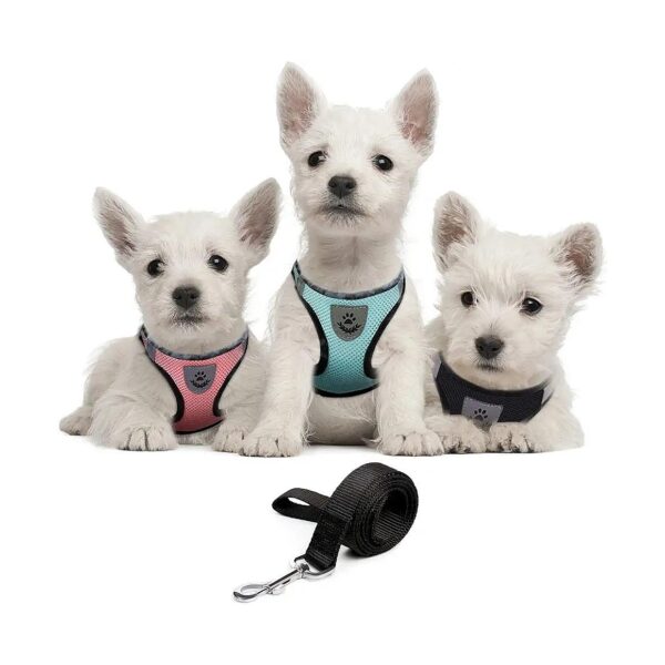 4 PCS Set Soft Breathable Dog Harness and Leash Set for Pet Supply