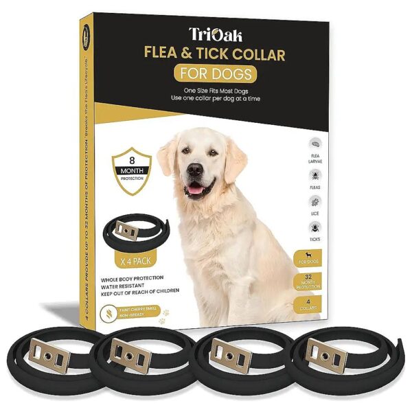 4 Pack Flea Collar for Small Dogs Medium Dogs Large Dogs