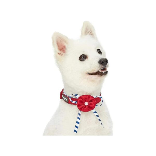 4 Patterns Dog Collar with Adjustable Neck for Medium Breed