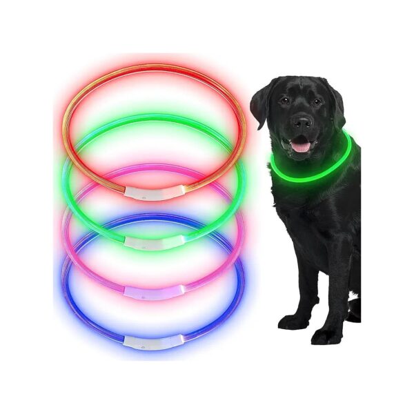 4-Piece LED Dog Collar Set for Small Medium and Large Dogs